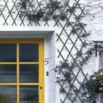 Traliccio Estensibile in Plastica PVC Verde Balcone Terrazzo Rampicanti Giardino - immagine 2