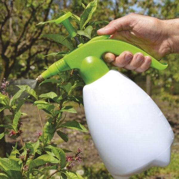 MINI POMPA 2 LITRI Spruzzatore a pressione Spruzzino nebulizzatore Pompa manuale piante fiori 2 LT - immagine 1