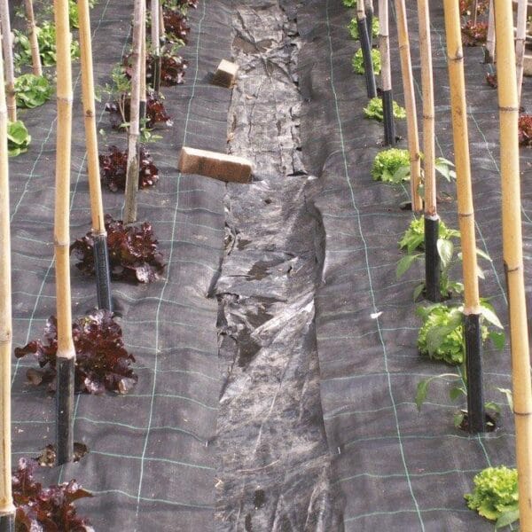 TESSUTO PACCIAMATURA ROTOLO VERDE/QUADRO VERDE 525/12 Telo pacciamatura Verde per erbacce copertura terreno Rotolo 2,10x20 mt - immagine 1