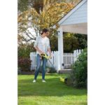 Tagliabordi elettrico Ryobi Impugnatura ergonomica motore 290W taglio 25 cm - immagine 2